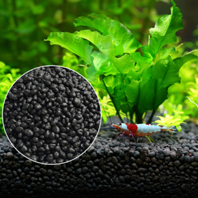 Planted Aquarium Moss - Aquarium Plant Zaden Bodem Fishtank Substraat