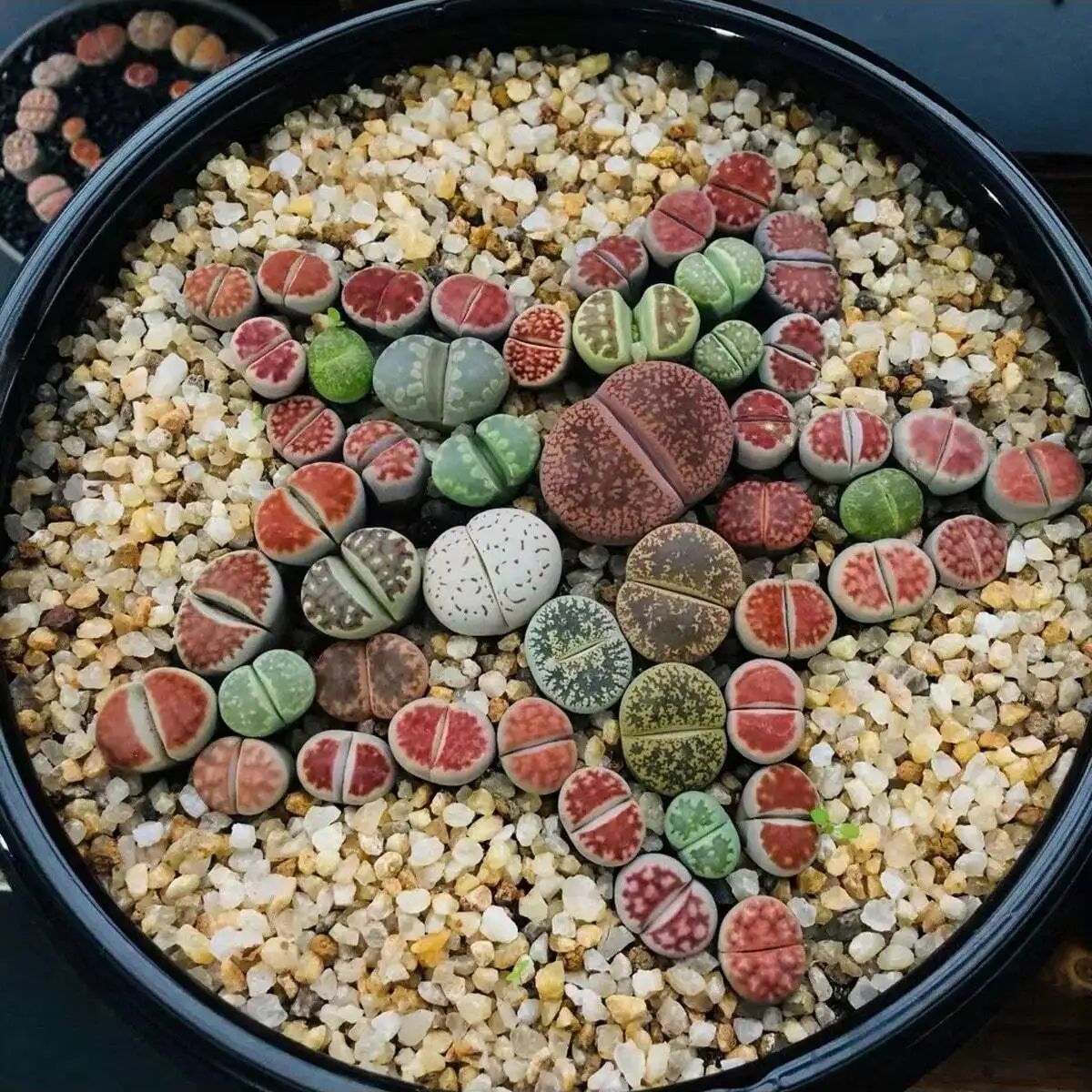 1pc-250g Natuurlijke Kristalle - Aquarium Plant Gravel recensie en prijs