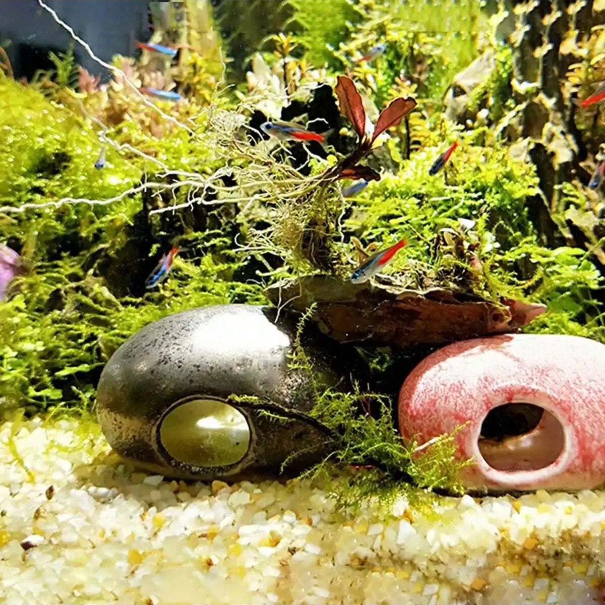 1pc-250g Natuurlijke Kristalle - Aquarium Plant Gravel recensie en prijs