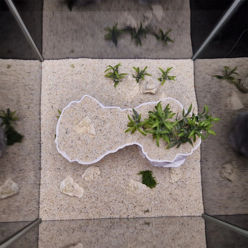 Aquarium 3D-geprinte plantenma - Aquarium Planted Tank Soil recensie en prijs