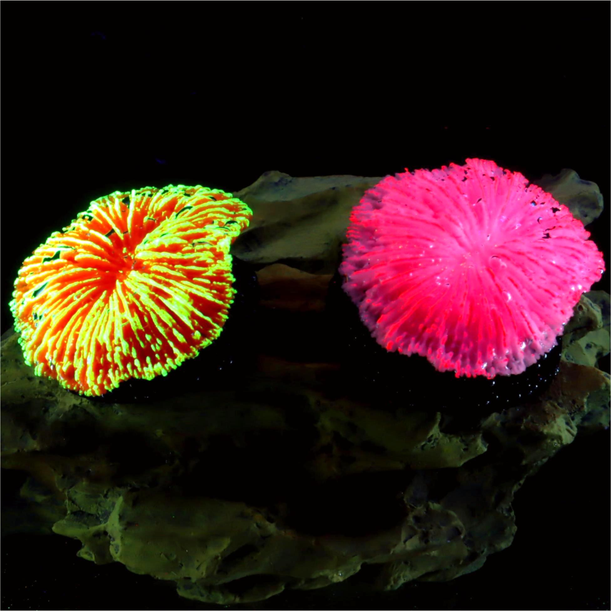 1 piece aquarium decoration sa - Aquarium Planet recensie en prijs