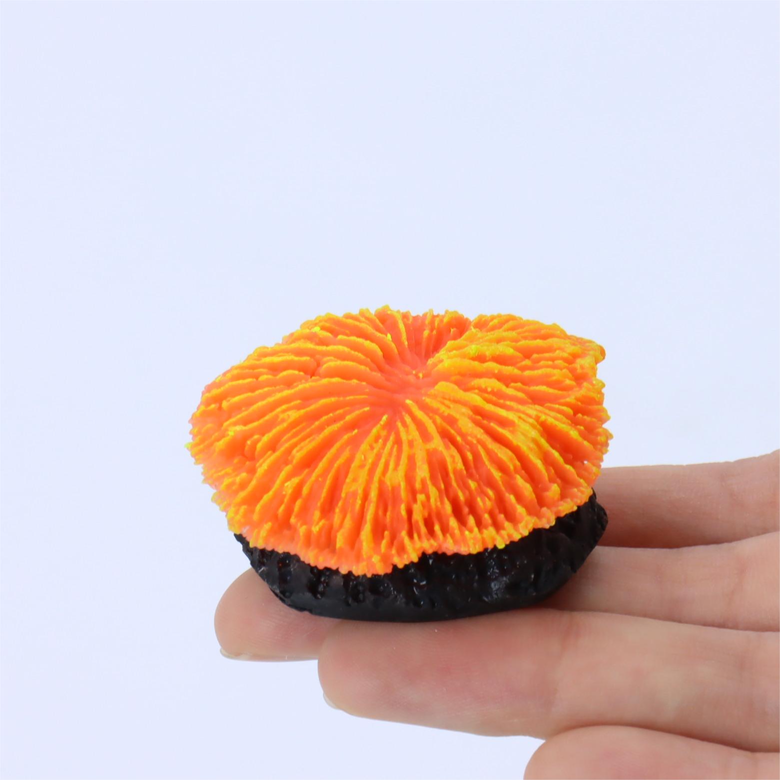 1 piece aquarium decoration sa - Aquarium Planet recensie en prijs