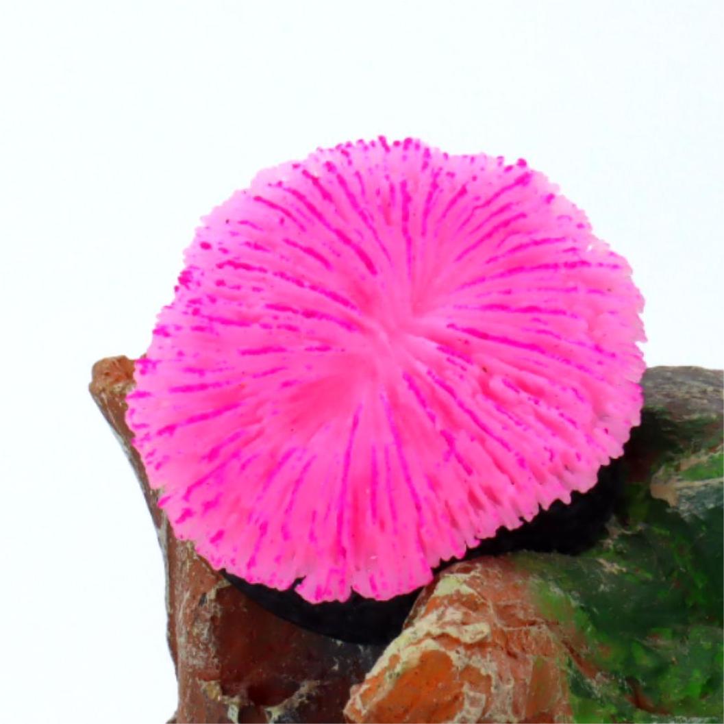 1 piece aquarium decoration sa - Aquarium Planet recensie en prijs
