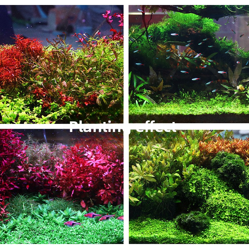 SYSENCIAGA beplant aquariumsub - Aquarium Planted Tank Soil recensie en prijs