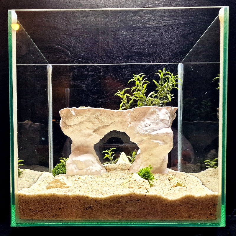 3D-geprint aquariumplantenmand - Aquarium Planted Tank Soil recensie en prijs