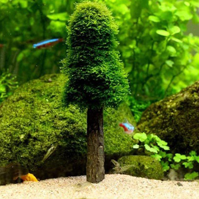 Aquarium Tank Landschap Decor  - Planted Aquarium Moss recensie en prijs