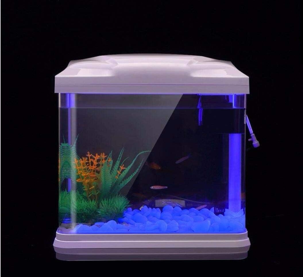 Aquarium Rotsen Glow Blue Kiez - Planted Aquarium Equipment recensie en prijs
