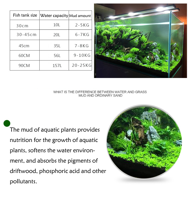 Aquarium Plant Zaden Bodem Fis - Planted Aquarium Moss recensie en prijs